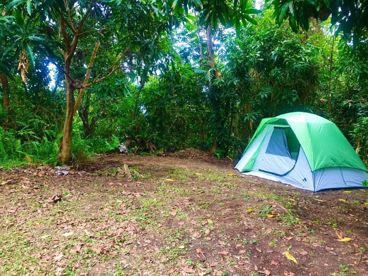 Jubilee Campsite Swim & Paint Las Piedras Exteriör bild